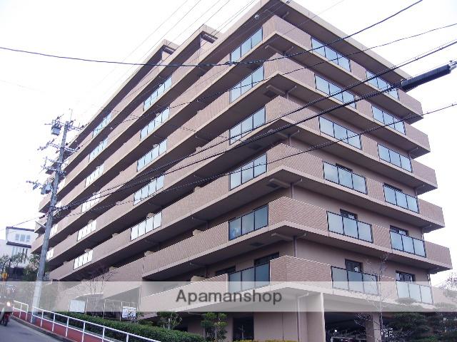 ヴィオレット宝塚