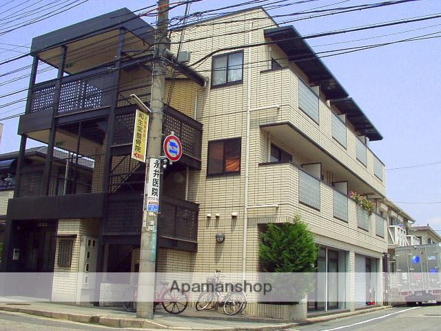 ヴィユ江上