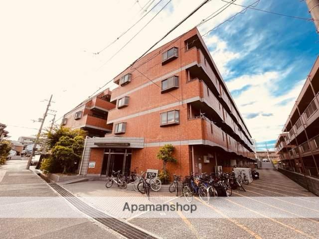 フリーダム中村