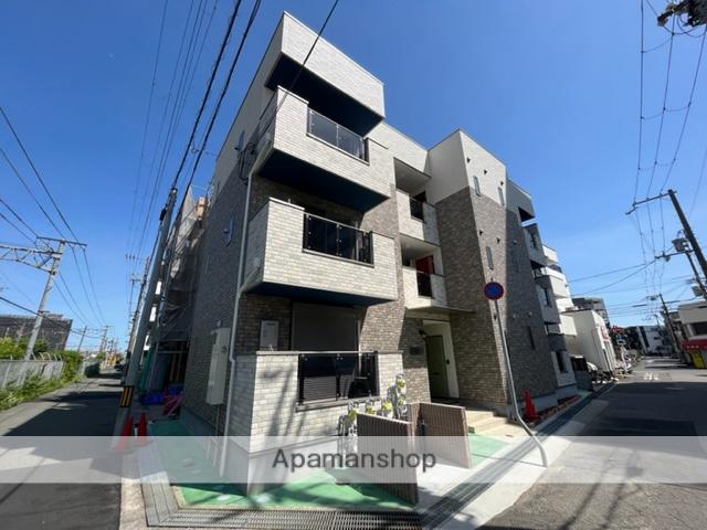 CAMELLIAカメリア