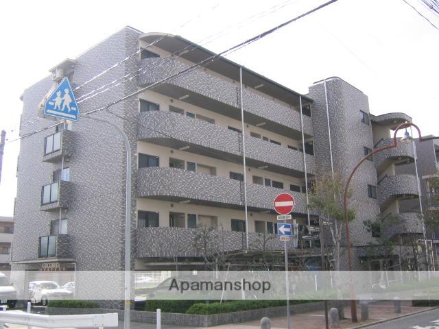 ピノカーサ塚口