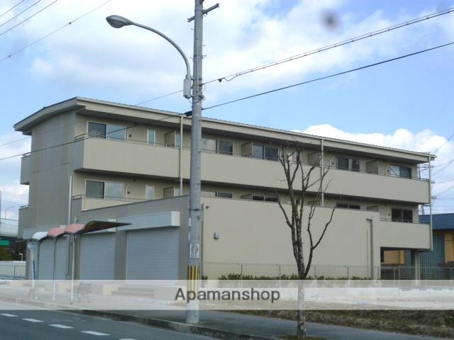 カーロ・セッテ
