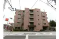アムールみその