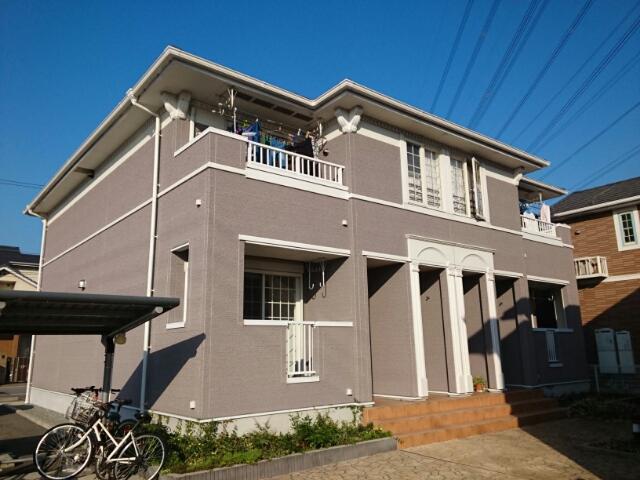 ドルフ・アカネA