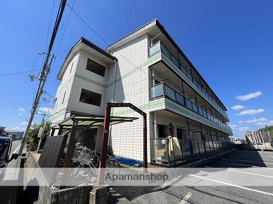 ロフティ津市場