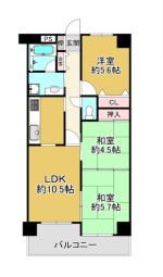 ライオンズマンション姫路西今宿(3LDK/1階)の間取り写真