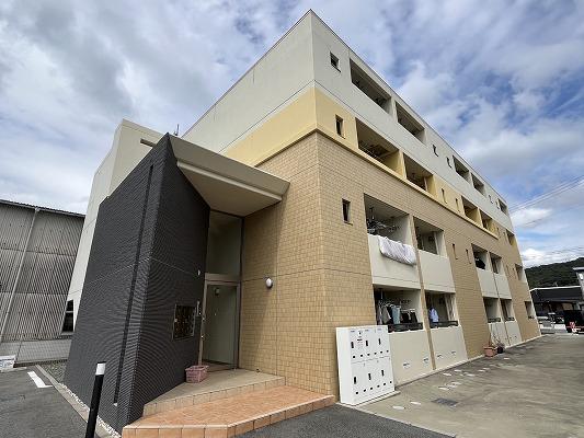 フィレール デュ トラジャⅦ