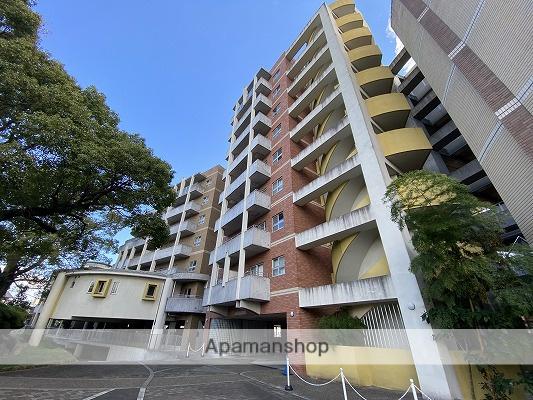 フィールトレイン