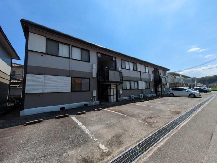 サンライフサルビア