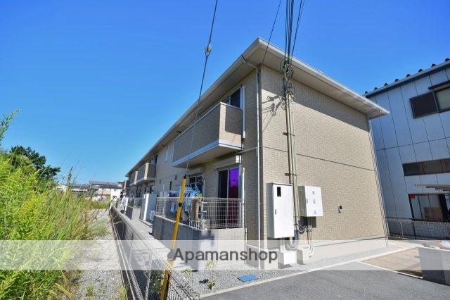 シャローパディ