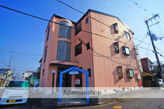 ブロッサム真菅