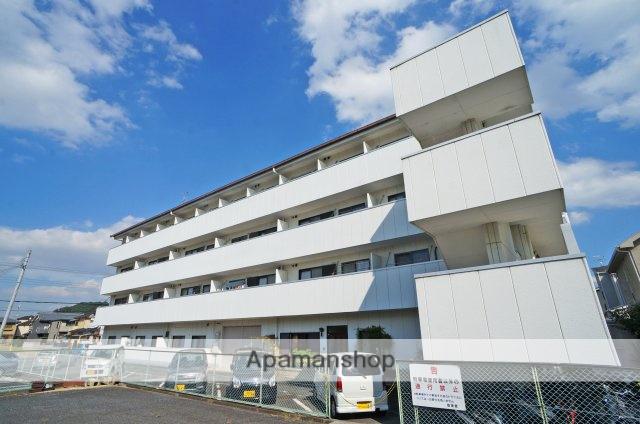 シルクロード醍醐