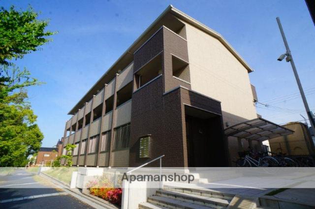 テレザート光台