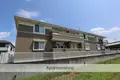 アプリコット