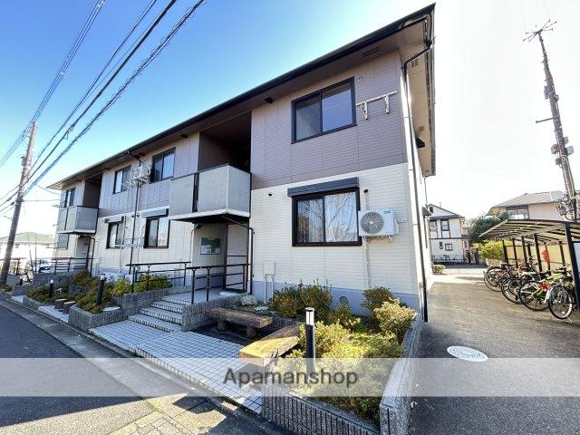 グリーンパークニレの木