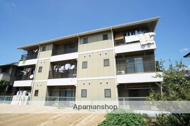 権内マンション