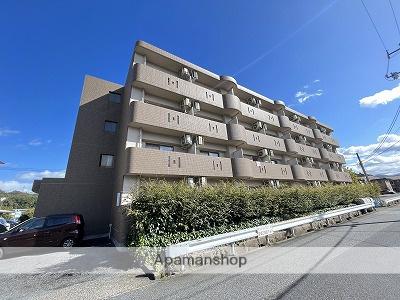 ドリームスプルース