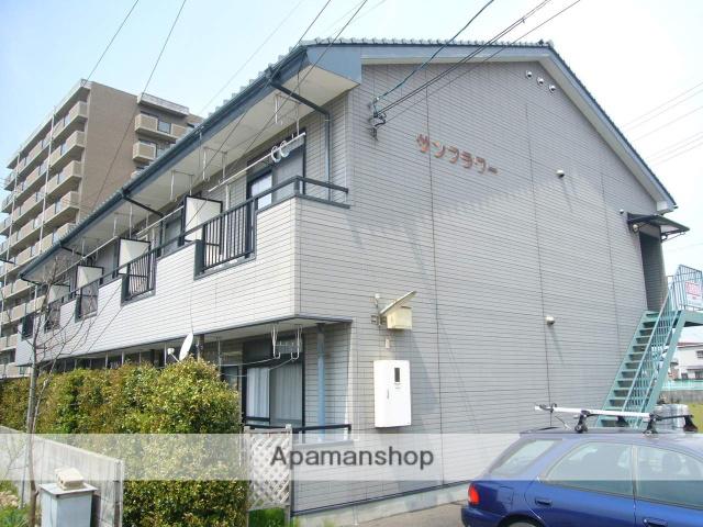 サンフラワー