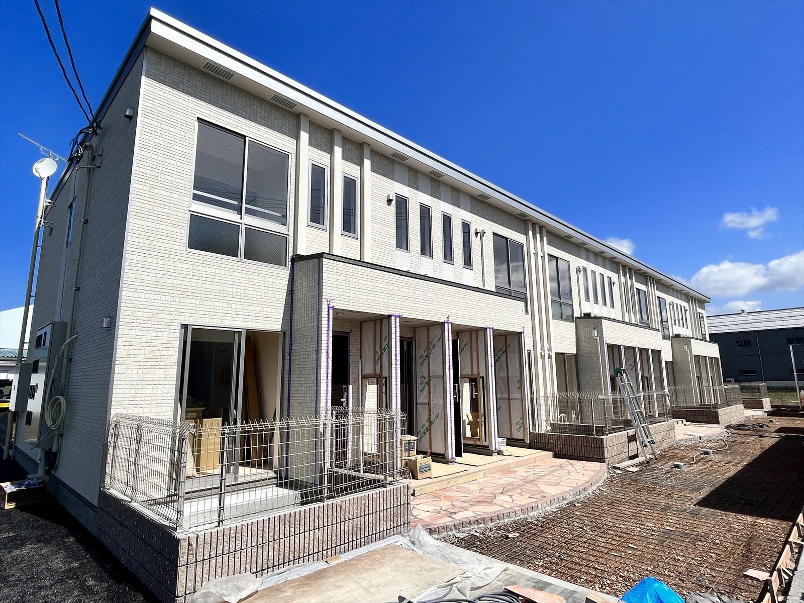 マリーゴールド