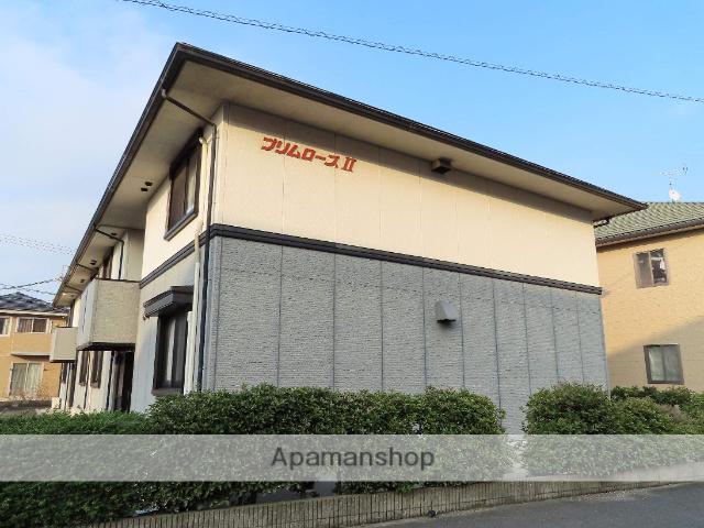 プリムローズⅡ