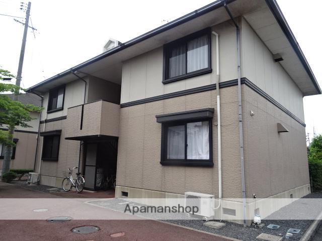 サン・ルミエール D