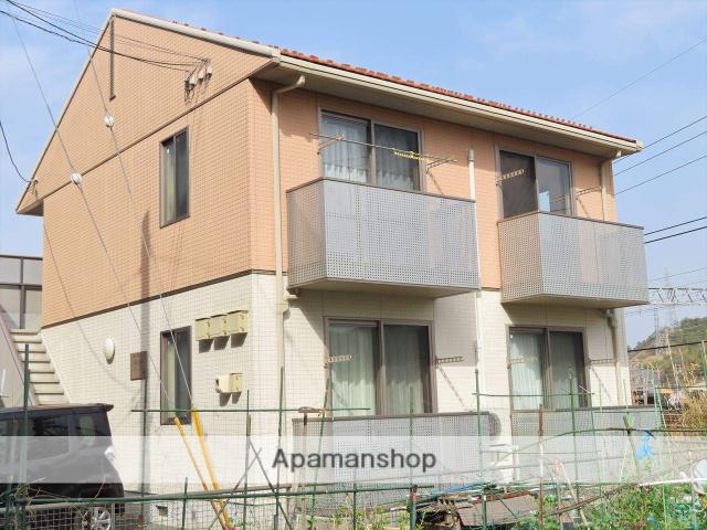 タートルテイル