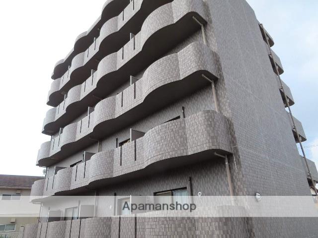 スカイマンションD棟