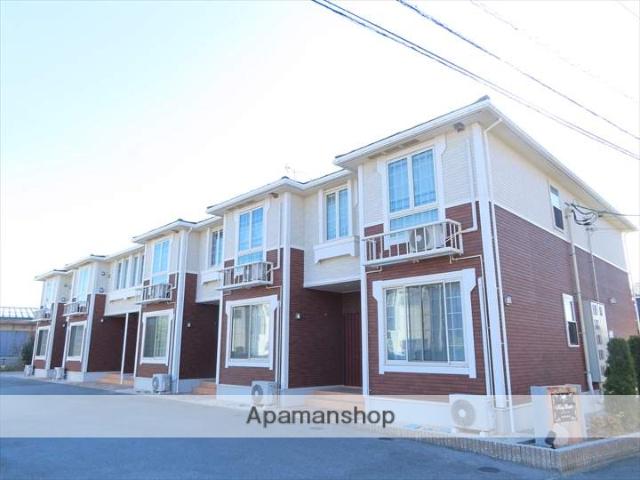 キングビートル