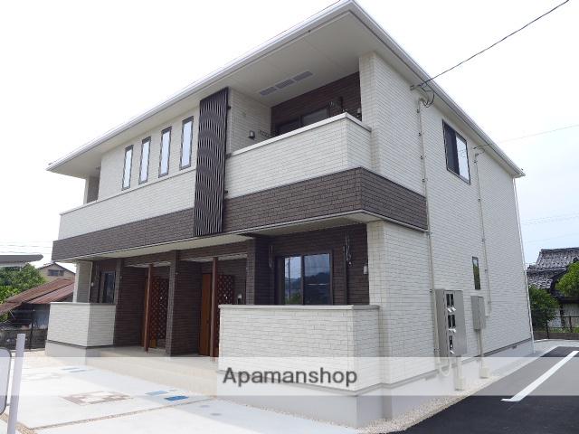 ホウキサカス B