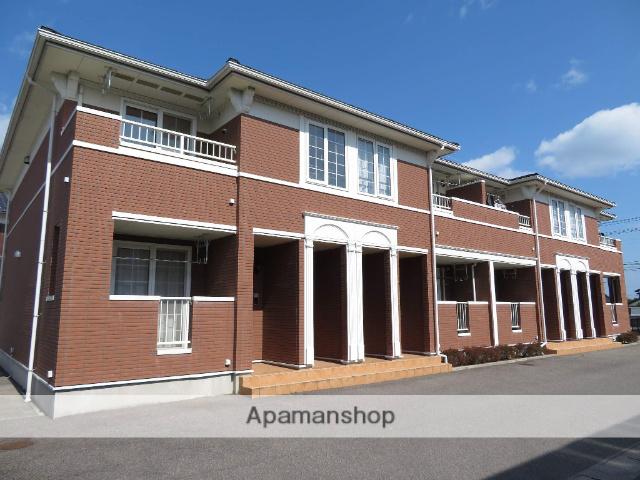 ピュールジャンC