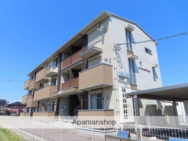 アズール・マムB(1LDK/1階)