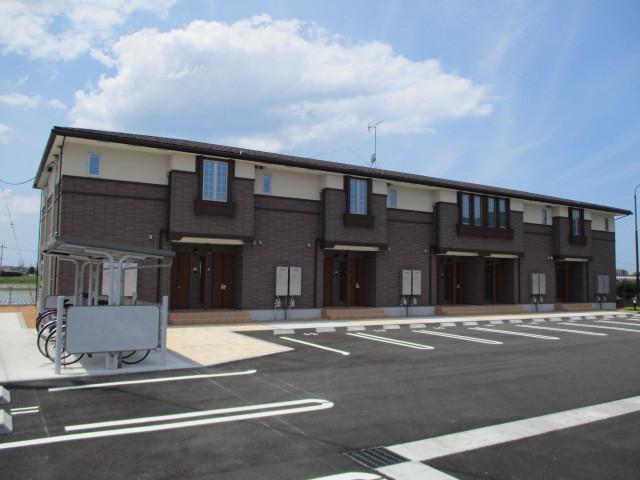 ハイビスカス Ⅱ