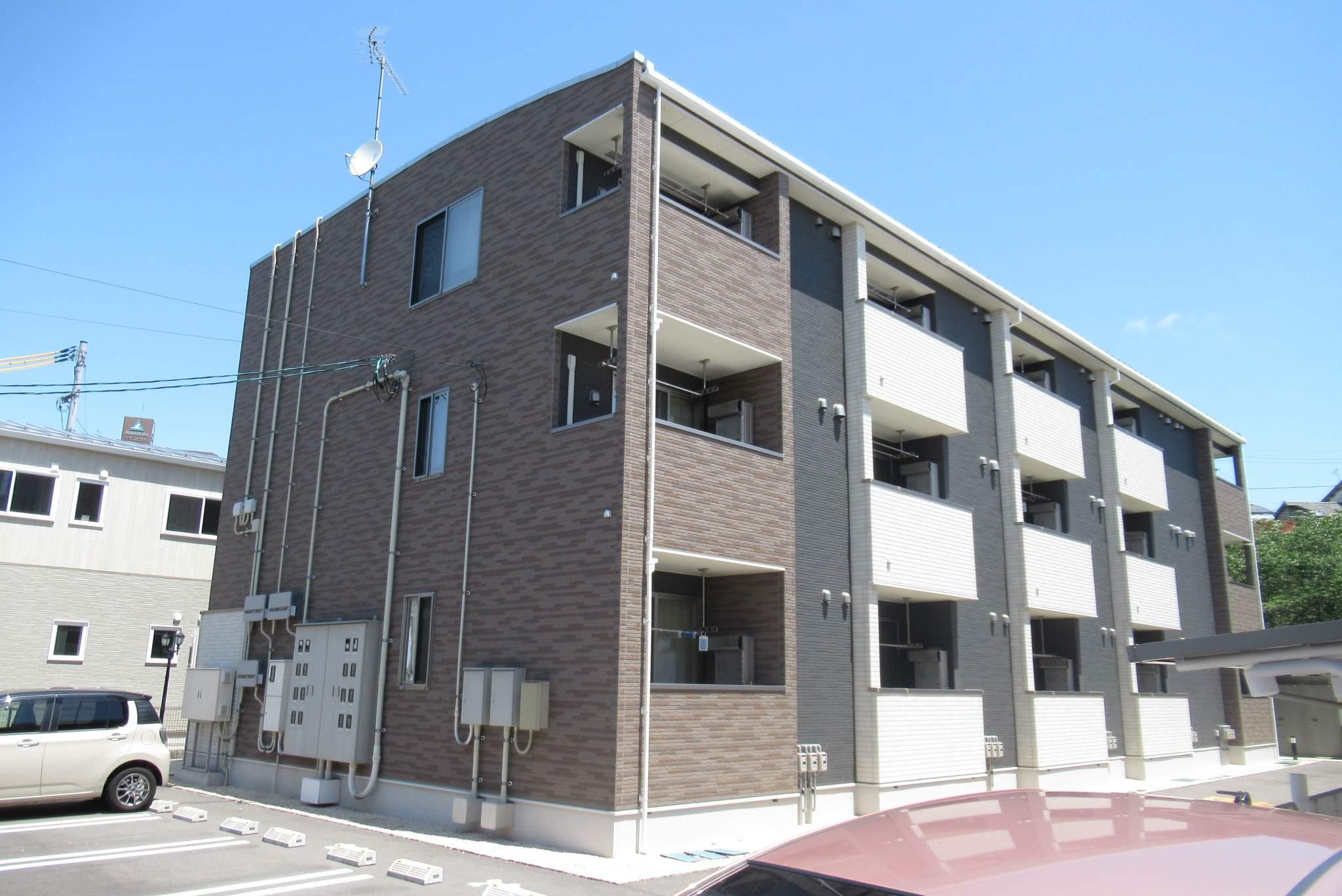 クリスマス ローズ B