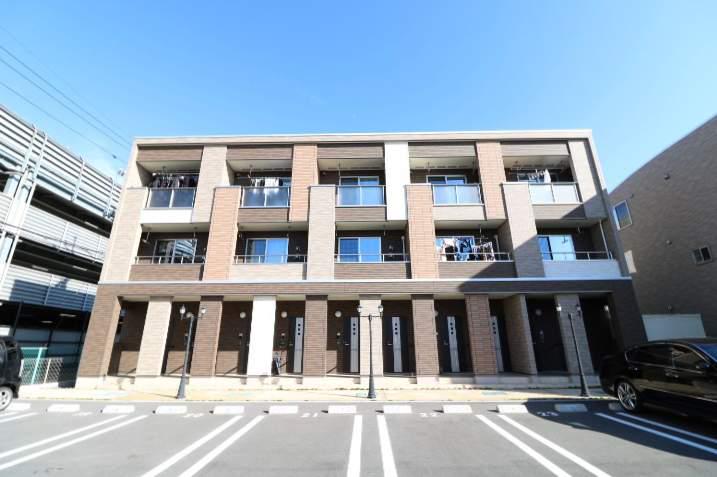 アリアキャメルⅡ