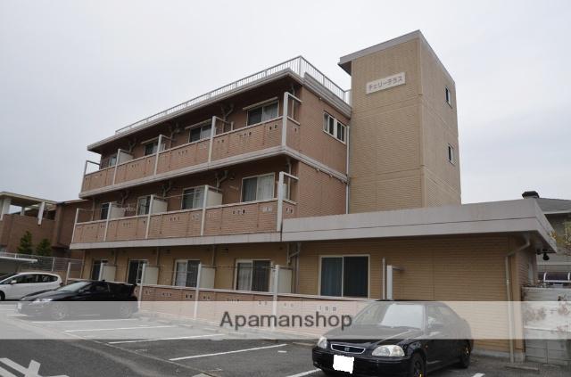 チェリーテラス