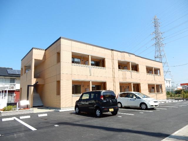 シェルルききょう