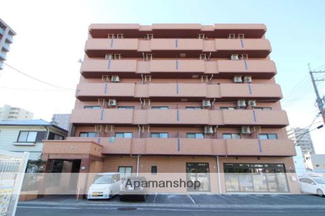 マローン野田