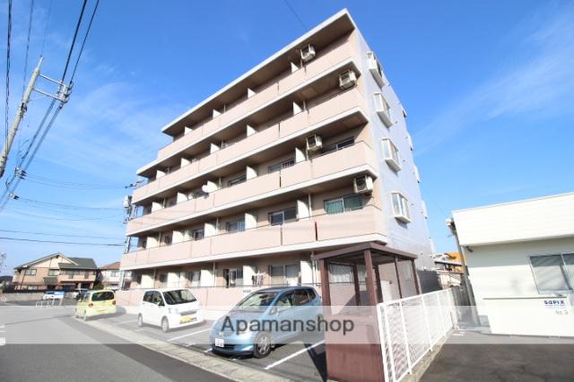 アルフィーネ今D