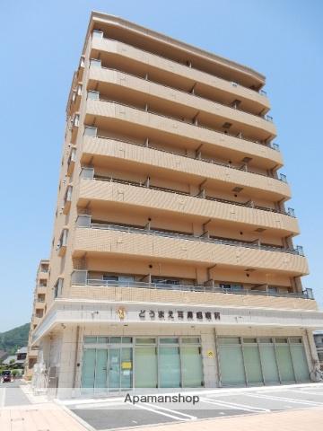 アネシスデュオ