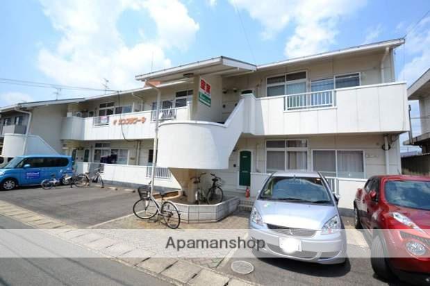 サンフラワー今