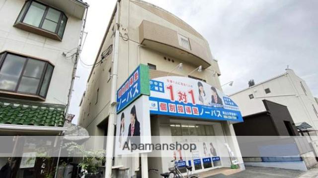 ロイヤルピジョン