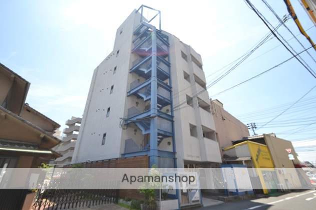 コスモクイーン鹿田