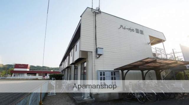 パレーシャル藤原