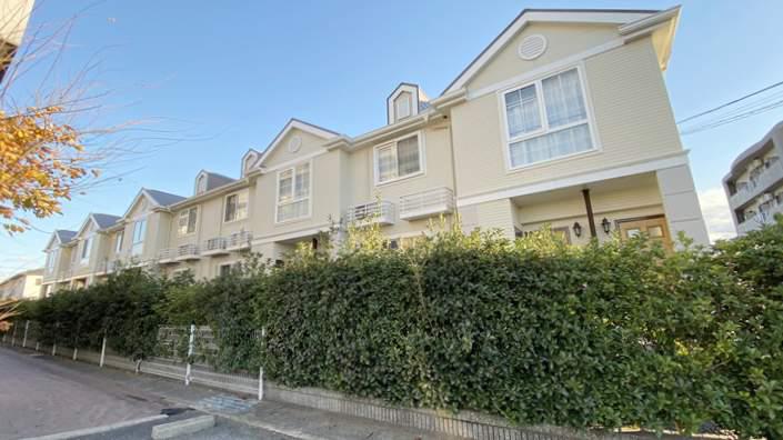 バーシアライシャス