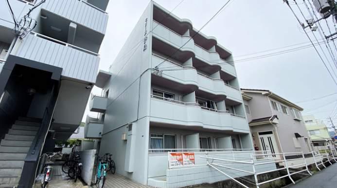 セリーヌ伊島