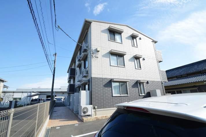 オリーブ
