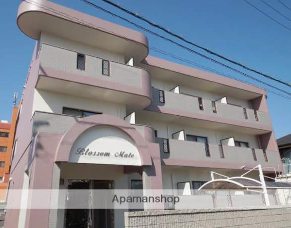 ブラッサムメイト