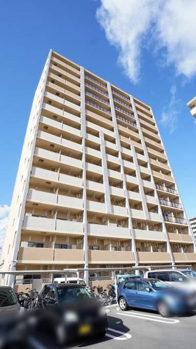 ケイマイティⅡ