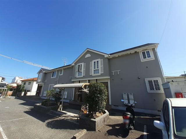 サンフラワーハセイ