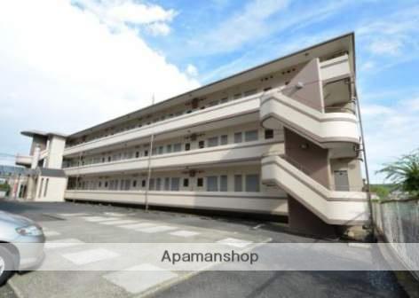 サンライズブルー